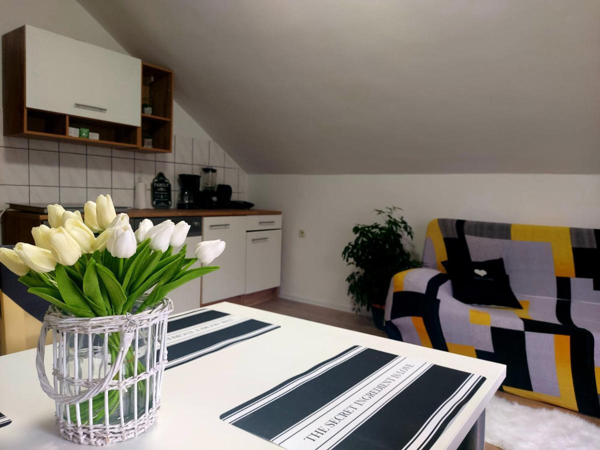 Guest House Gacka Rogic Otočac Dış mekan fotoğraf